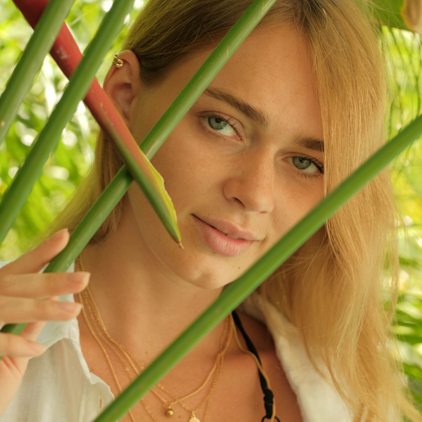 ジャングル撮影